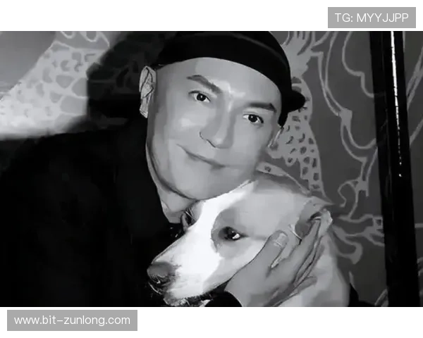 尊龙娱乐数字站用户评价汇总了解平台的真实使用体验 尊龙娱乐数字站用户评价汇总了解平台的真实使用体验