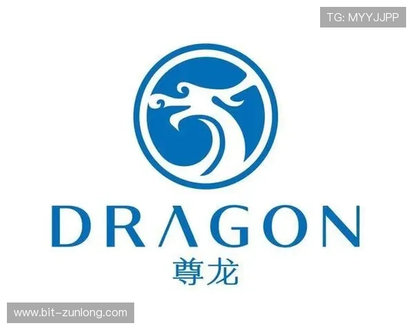 解密d88尊龙官方网的独特市场定位与优势