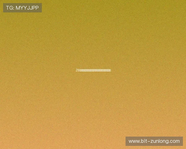 Z6用现如何快速升级装备提升战斗力的实用指南 Z6用现如何快速升级装备提升战斗力的实用指南
